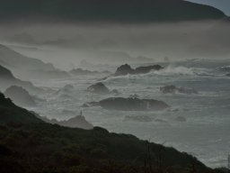 California2007-2008-035